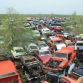 World’s Largest Ford Mustang Salvage Yard