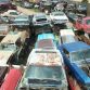 World’s Largest Ford Mustang Salvage Yard
