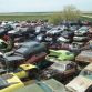 World’s Largest Ford Mustang Salvage Yard