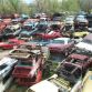 World’s Largest Ford Mustang Salvage Yard