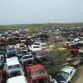 World’s Largest Ford Mustang Salvage Yard