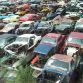 World’s Largest Ford Mustang Salvage Yard