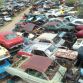 World’s Largest Ford Mustang Salvage Yard