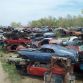 World’s Largest Ford Mustang Salvage Yard