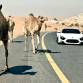 zenvo-st1-in-dubai-10