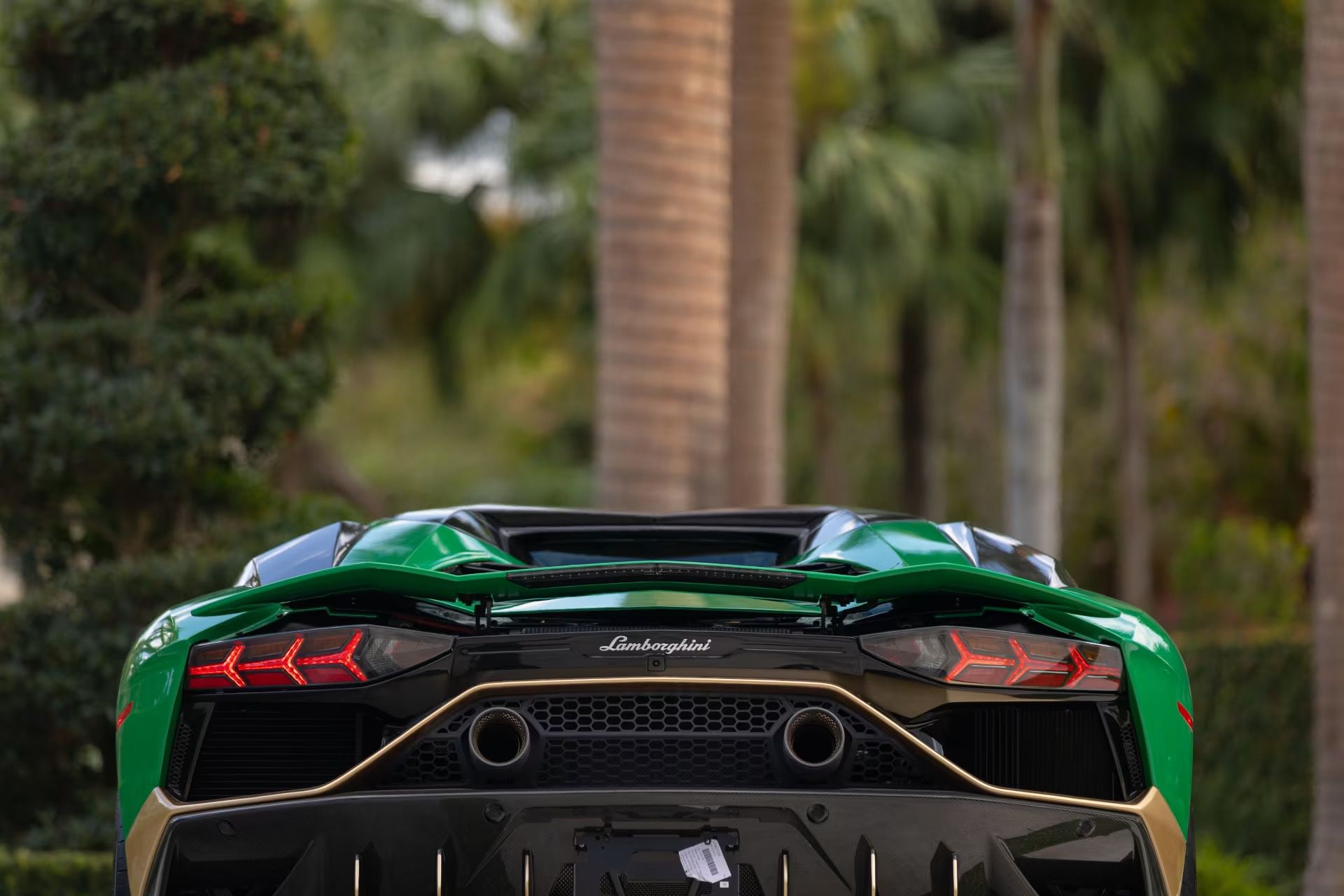 Lamborghini_Aventador_Ultimae_Roadster_auction-3